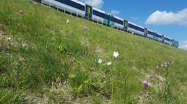 Landscaping gains Network Rail infrastructure project excellent rating