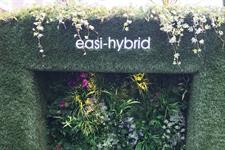 Scotscape and Easigrass team up to launch hybrid green wall