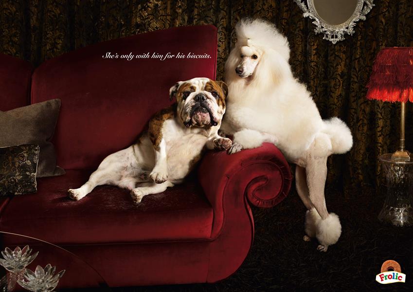 Half of Brits won't spend for love, but a fifth are spoiling their pets