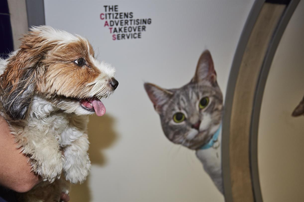 Watch: Tube adverts replaced with pictures of cats in 'citizen takeover'