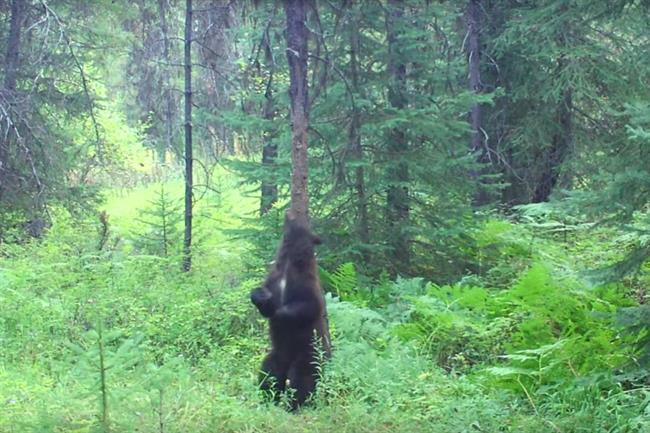 Mondelez appoints Vitrano to lead marketing for Cadbury