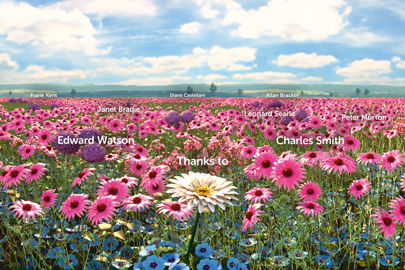 Cancer Research UK creates VR infinite garden at Hampton Court Palace Flower Show