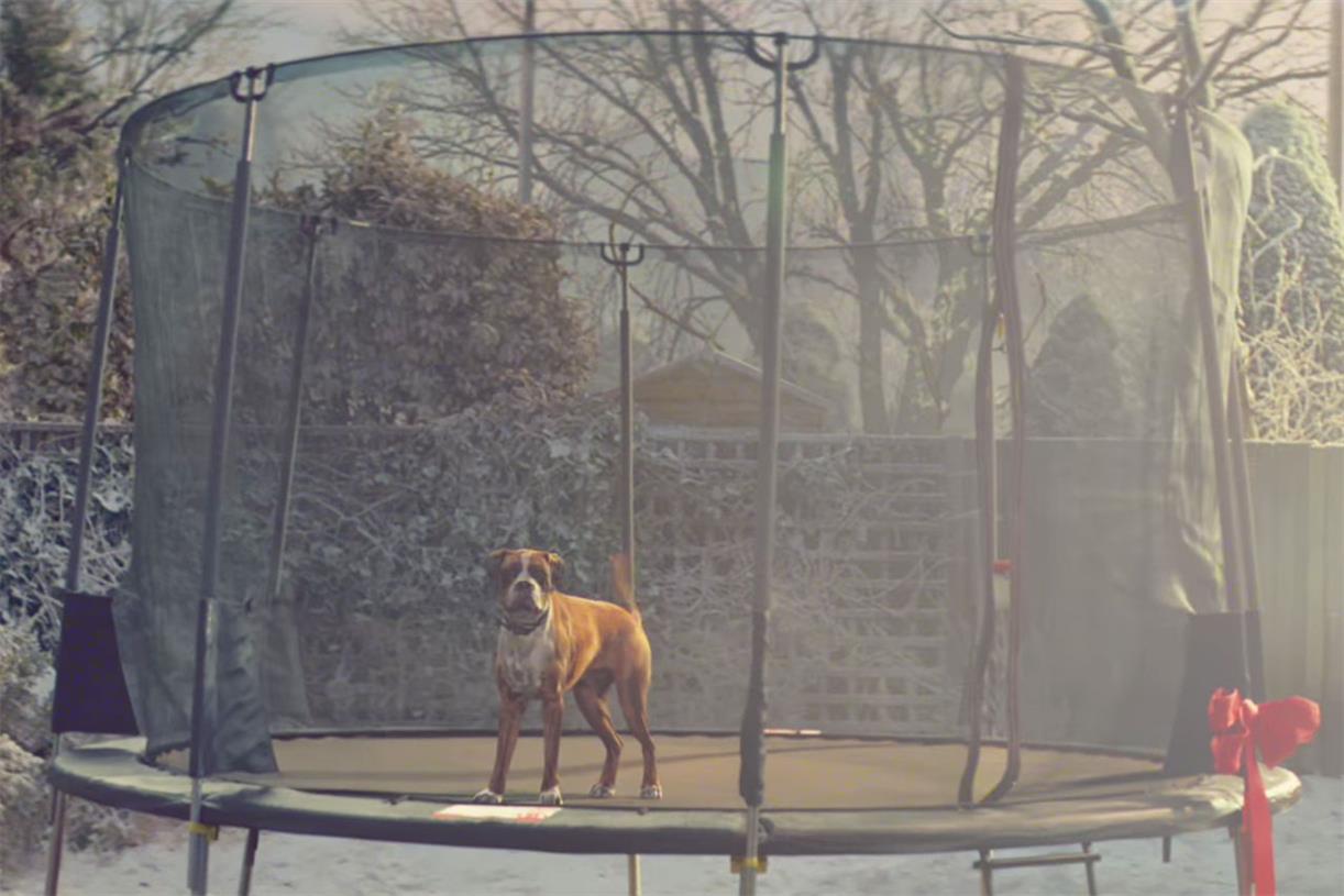 'Buster the Boxer' social media shares set to overtake previous John Lewis Christmas ads