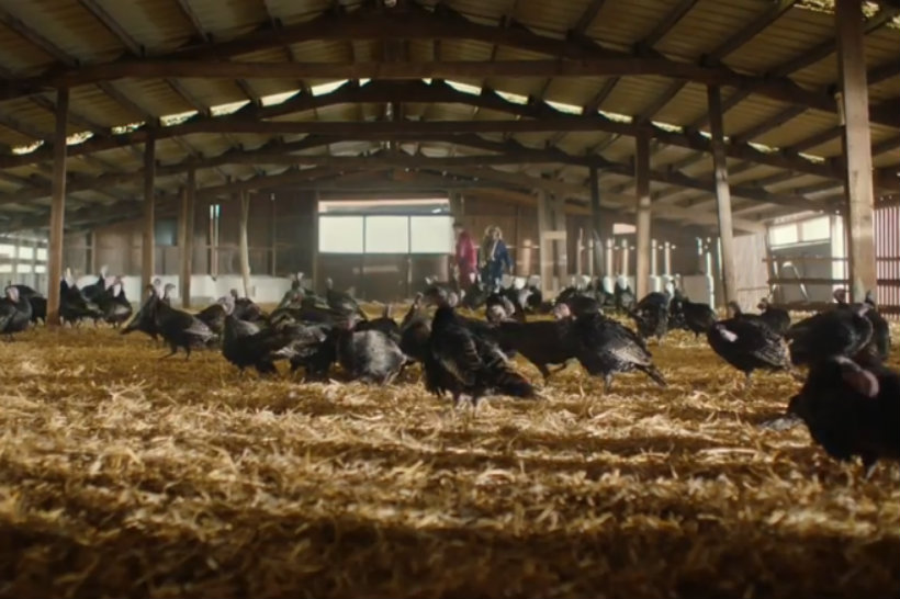 Lidl offers to drop Christmas prices in return for tweets