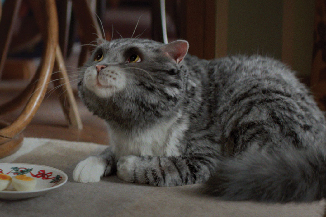 Pitch update: Sainsbury's, Marks & Spencer, easyJet, Nutmeg