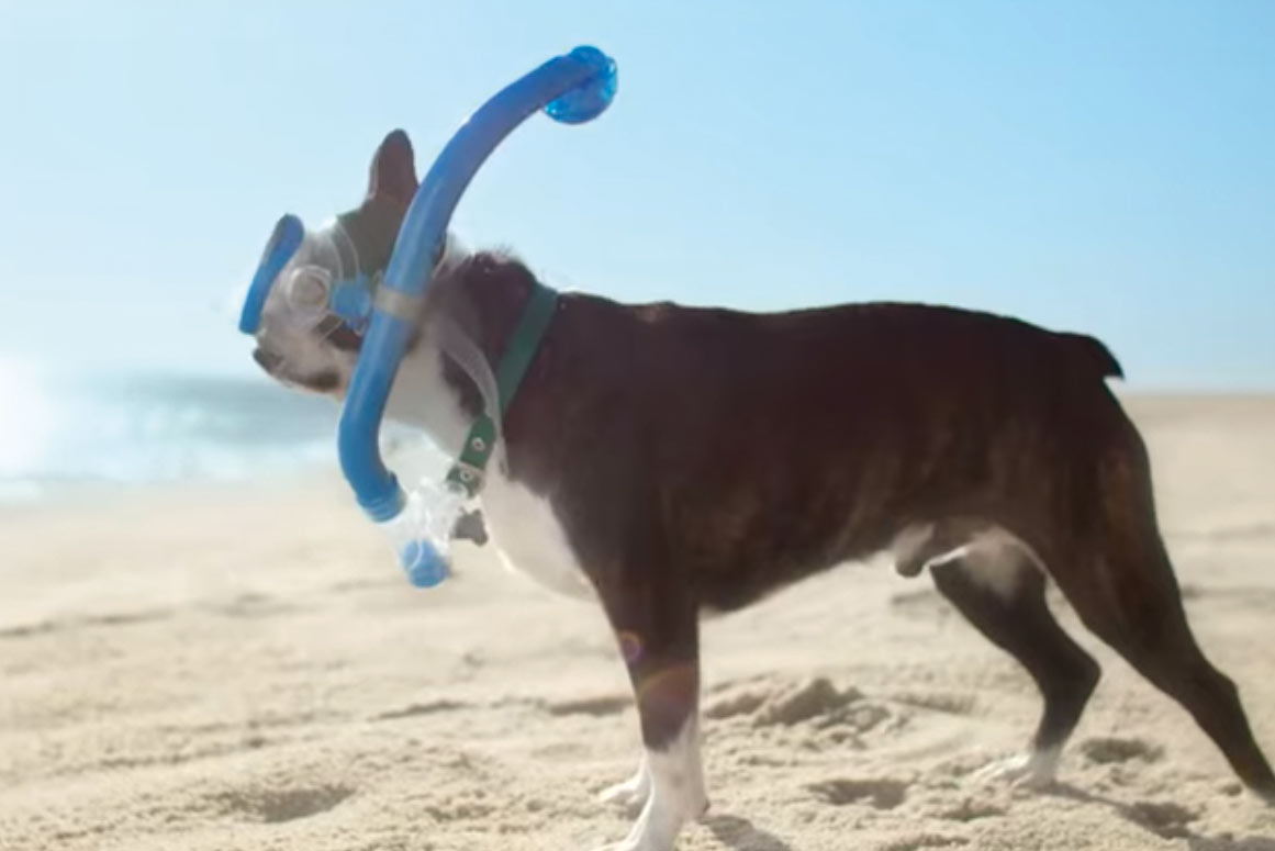 Pitch update: TripAdvisor, Britvic, Alpen