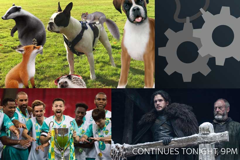 Twitter reveals insights from the best social campaigns of 2016