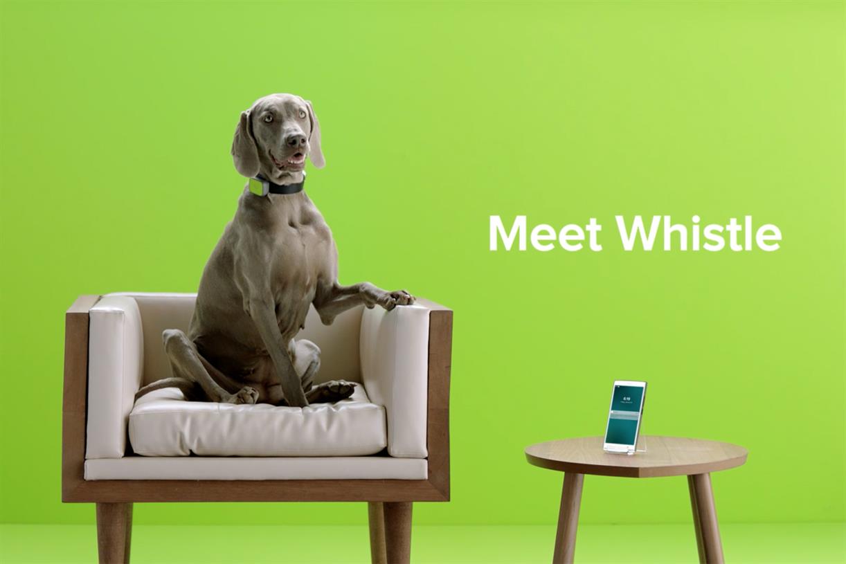 Mars and BBDO SF roll out first work made with crowdsourced platform in US