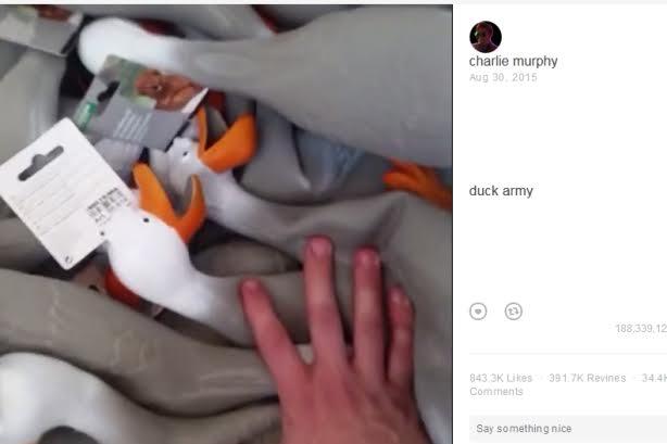 Influencers say goodbye to Vine