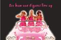 Sheilas' Wheels adds branded products
