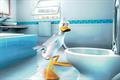 Sector Insight (interactive): toilet care