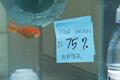 Goldfish stars in Drench ads and augmented reality game