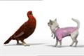Famous Grouse 'diamante dog' by AMV BBDO