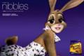 Cadbury Dairy Milk 'caramel nibbles' by Fallon London