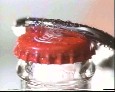 Coca-Cola, carbonated soft drink (Coke)