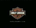 Harley Davidson, motorcycles