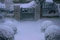 Gü 'give in to Gü Christmas' by DDB UK