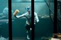 Aviva 'for the love of your home' by AMV BBDO