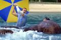 Pepsi 'octopus' by CLM BBDO