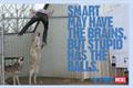 Diesel 'be stupid' by Anomaly