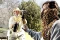Bojangles 'bees' by BooneOakley
