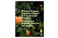 Copella 'fruit of our knowledge' by DDB UK