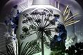 Tanqueray 'resist simple' by Wieden & Kennedy Amsterdam