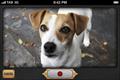 Frijj 'Pet Translator app' by Grey London