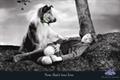 Highland Spring 'iconic love' by merle ltd