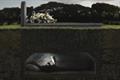 Eye Bank Association of India 'graves' by Y&R Dubai