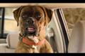 Toyota SA 'buddy' by Draftfcb Johannesburg