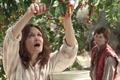 Skittles 'plant' by TBWA\Chiat\Day