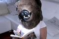 FITC 'the last advertising agency On Earth' by Saatchi & Saatchi Canada