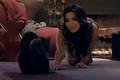 Sheba 'follow your passion' by AMV BBDO
