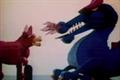 Lego 'kipper' by TBWA