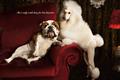 Frolic 'she's only with him for his biscuits' by CLM BBDO