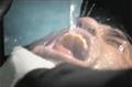 Amnesty International 'stuff of life' by Drugstore