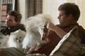 Budweiser 'beware of the dogs' by DDB Chicago