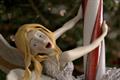 Orange 'dazzled' Publicis Conseil