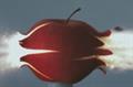 Choice FM 'peace on the streets' by Abbott Mead Vickers BBDO
