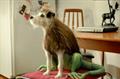 Nestlé 'strange animal' by Publicis Toronto