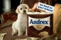 Andrex 'shea butter' by JWT London