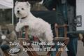 Cesar '4 TV sponsorship idents' by AMV BBDO