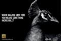 Asus and Intel 'in search of incredible' by Kitcatt Nohr Digitas
