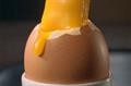 Marks & Spencer 'eggs' by RKCR/Y&R