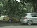 Peugeot 307 Euro RSCG London