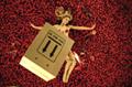 Teleflorist 'no boxes' by RLA Group