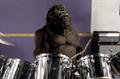 Cadbury 'Gorilla/Trucks mash-up' by Fallon