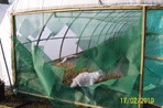Vandals damage Coblands Nursery