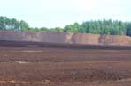 The Peat debate